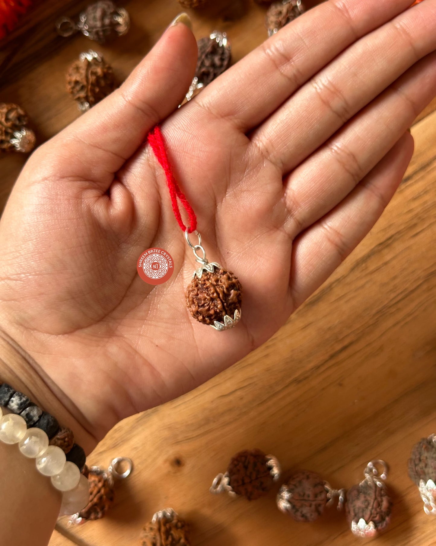 7 Mukhi Rudraksh Pendant