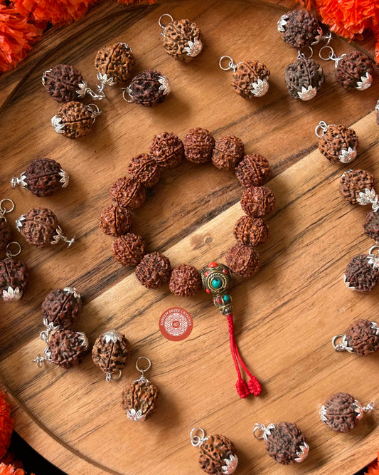 7 Mukhi Rudraksh Bracelet