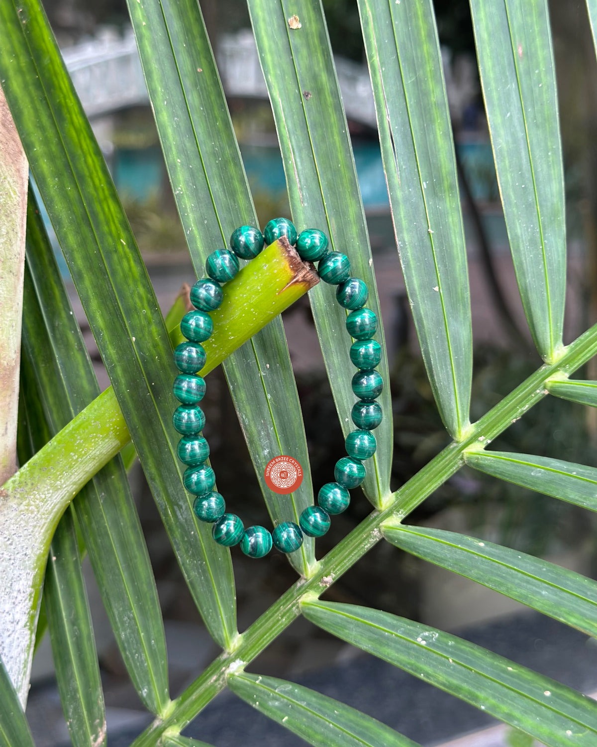 Malachite bracelet