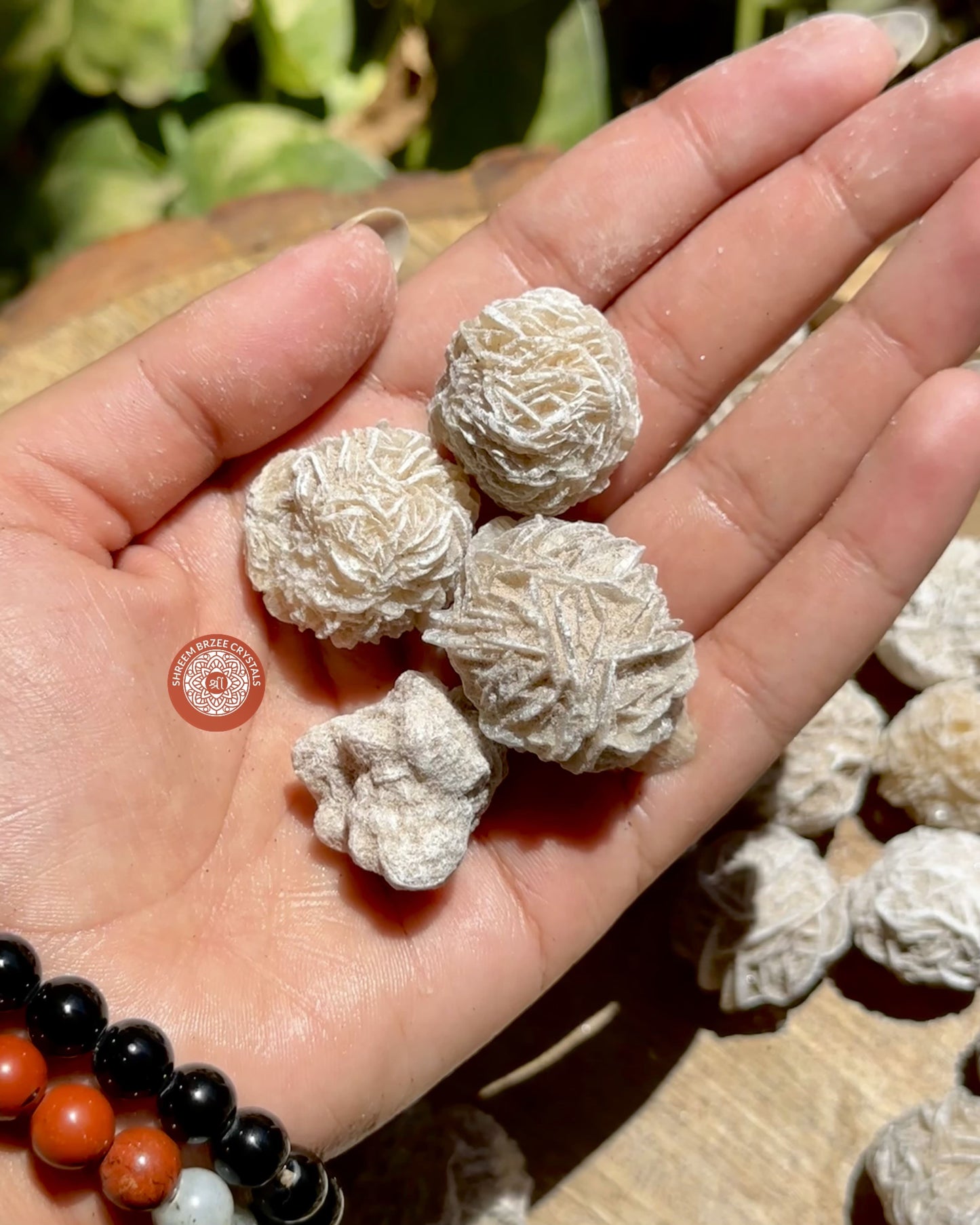 Desert rose