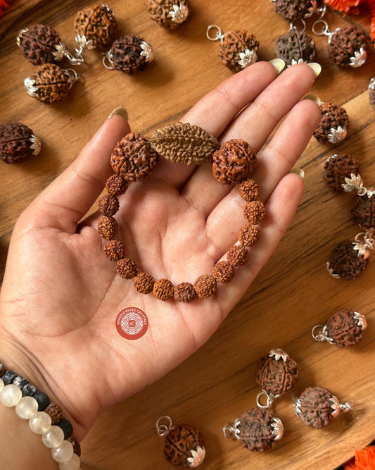 2 Mukhi Rudraksh With 5 Mukhi Rudraksh Bracelet