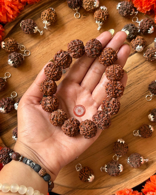 5 Mukhi Rudraksh Bracelet