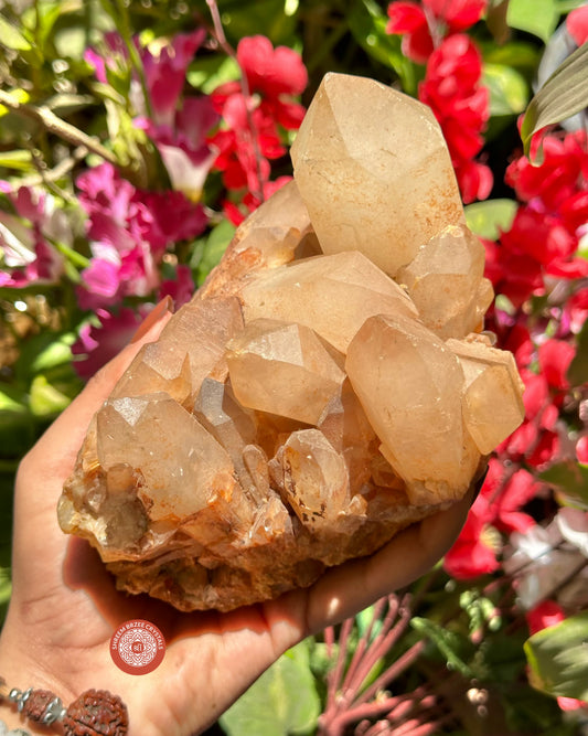 Himalayan Quartz Cluster