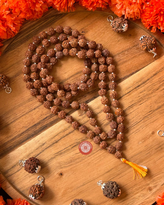 5 Mukhi Rudraksh Jaap Mala