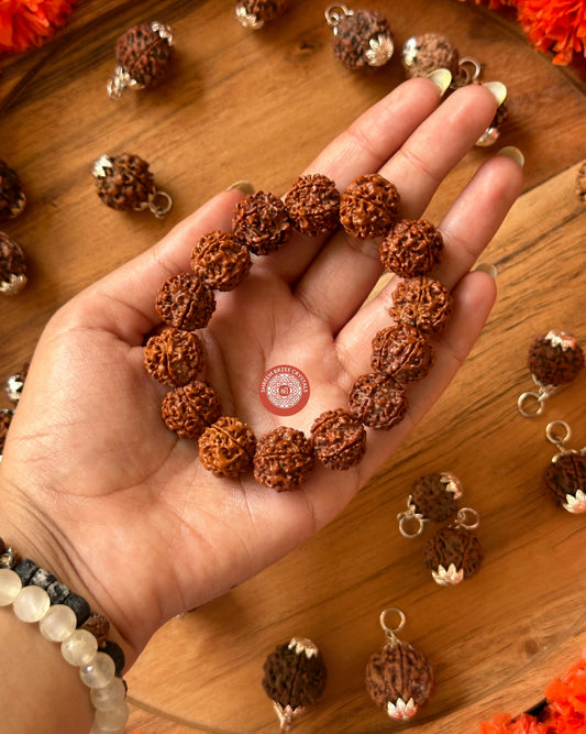 6 Mukhi Rudraksh Bracelet
