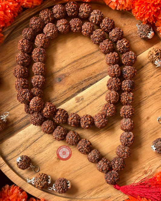 5 Mukhi Rudraksh Mala