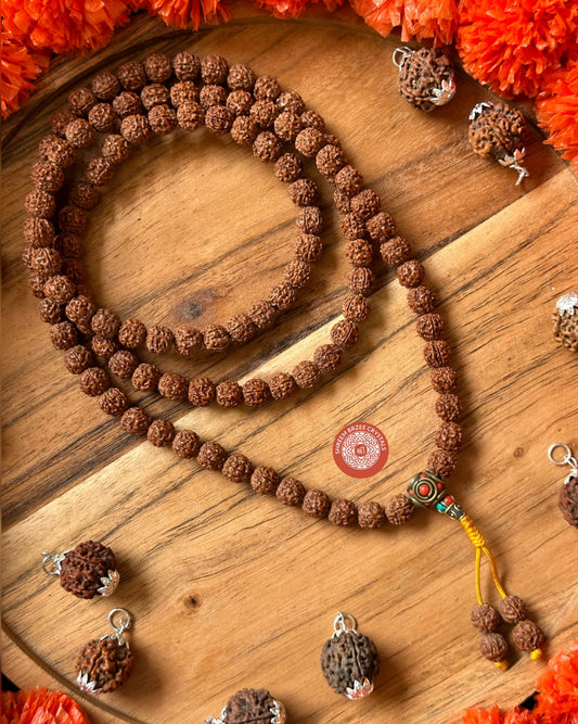 5 Mukhi Rudraksh Mala With Guru Bead