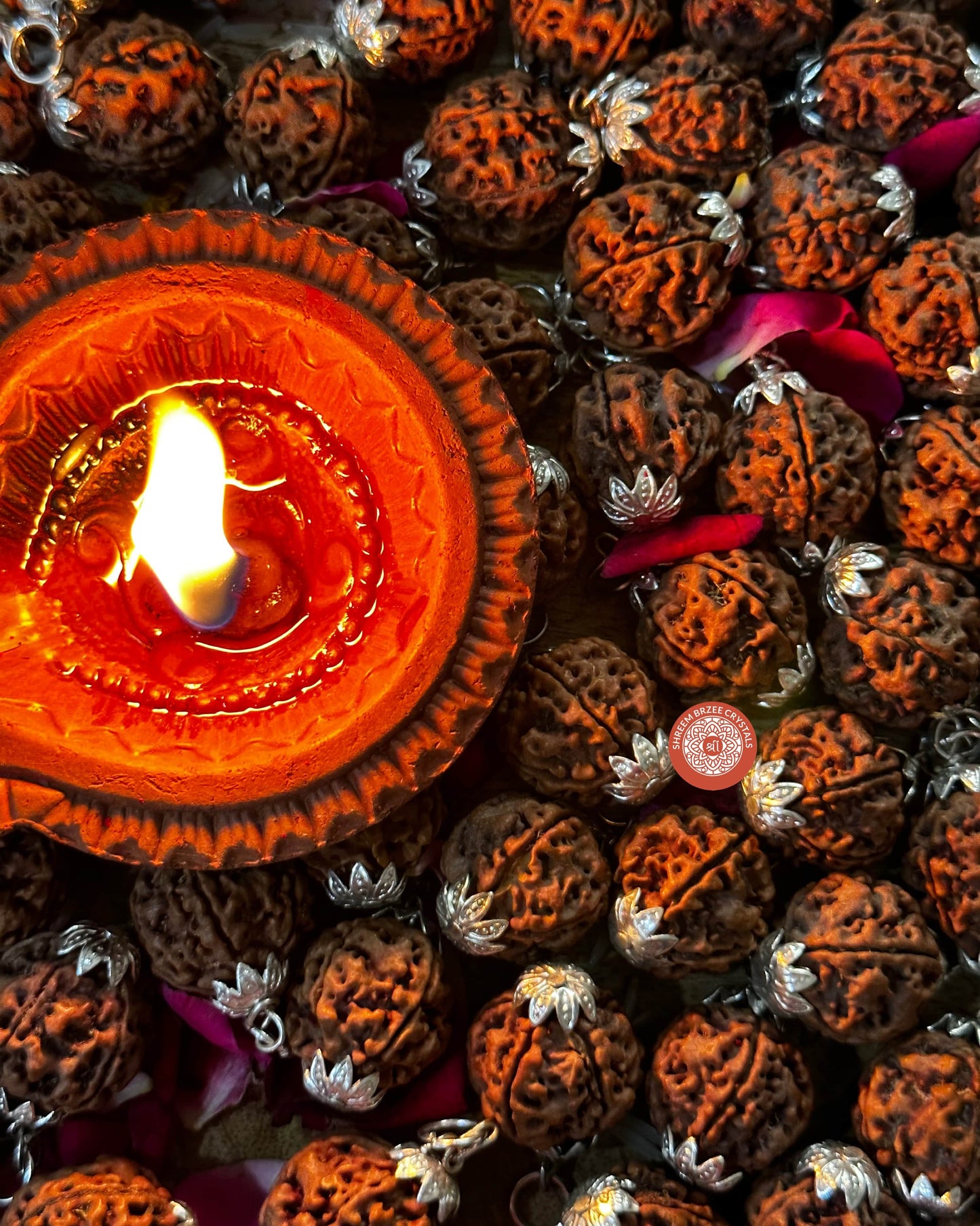 5 Mukhi Rudraksh Pendant