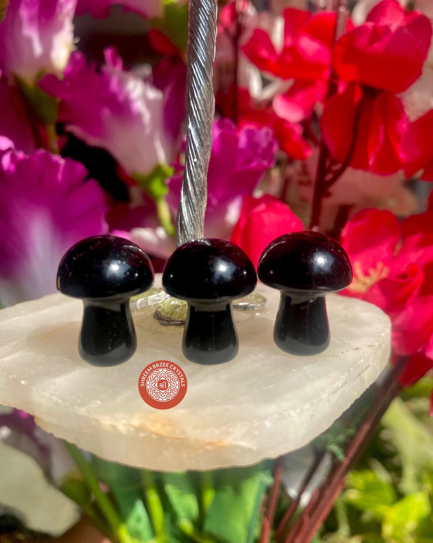 Mushrooms