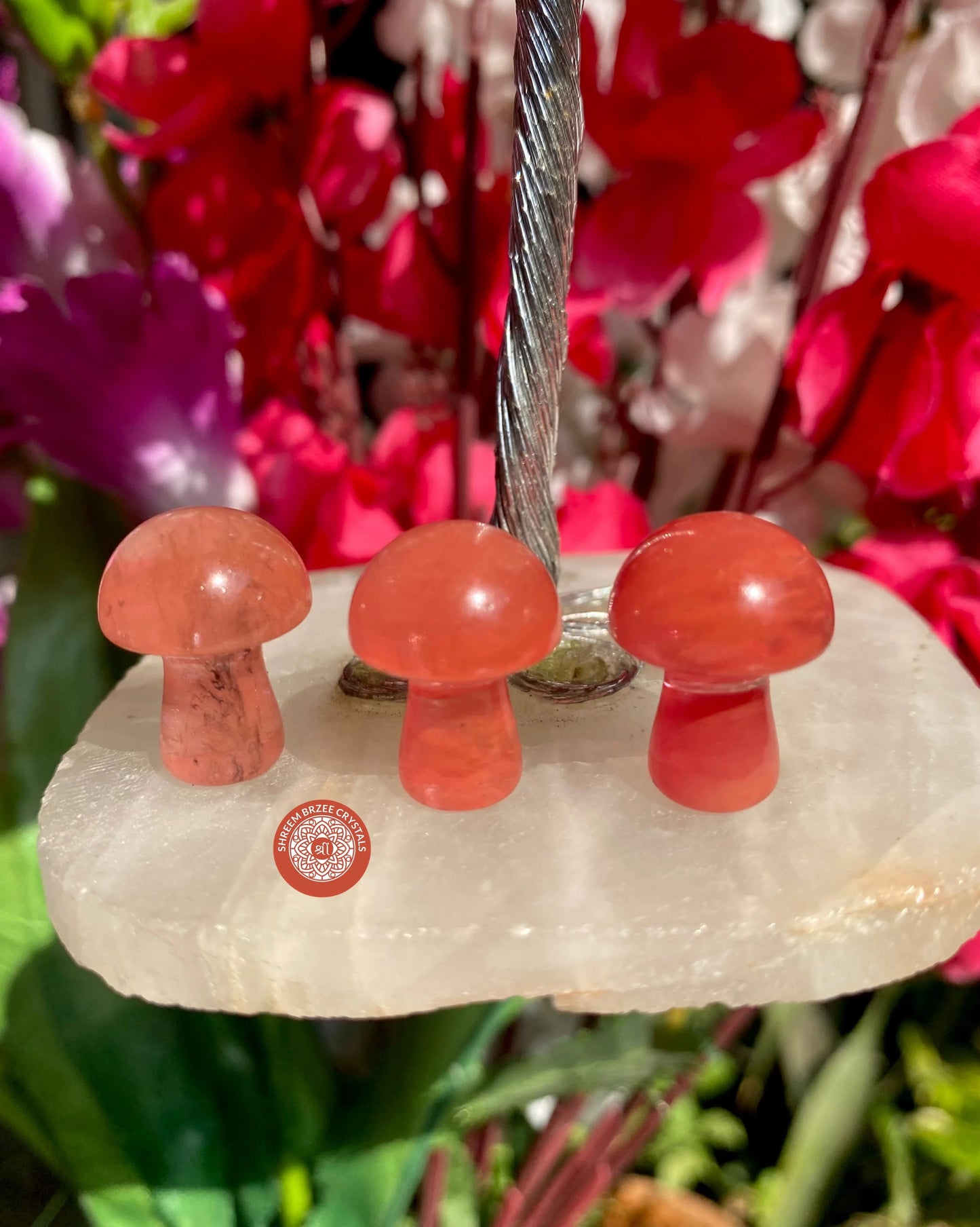 Mushrooms