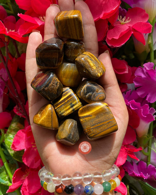 Tiger Eye Tumbles
