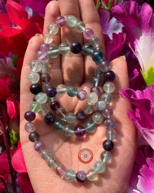 Multi Fluorite Bracelet