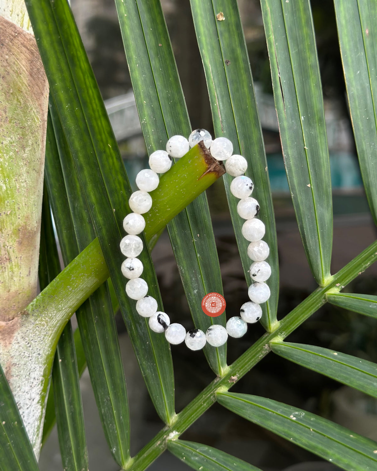 Moonstone diamond cut bracelet