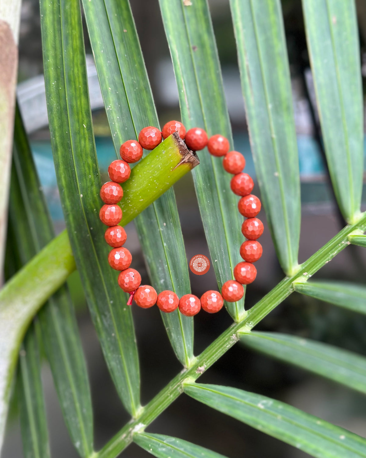 Red jasper diamond cut bracelet