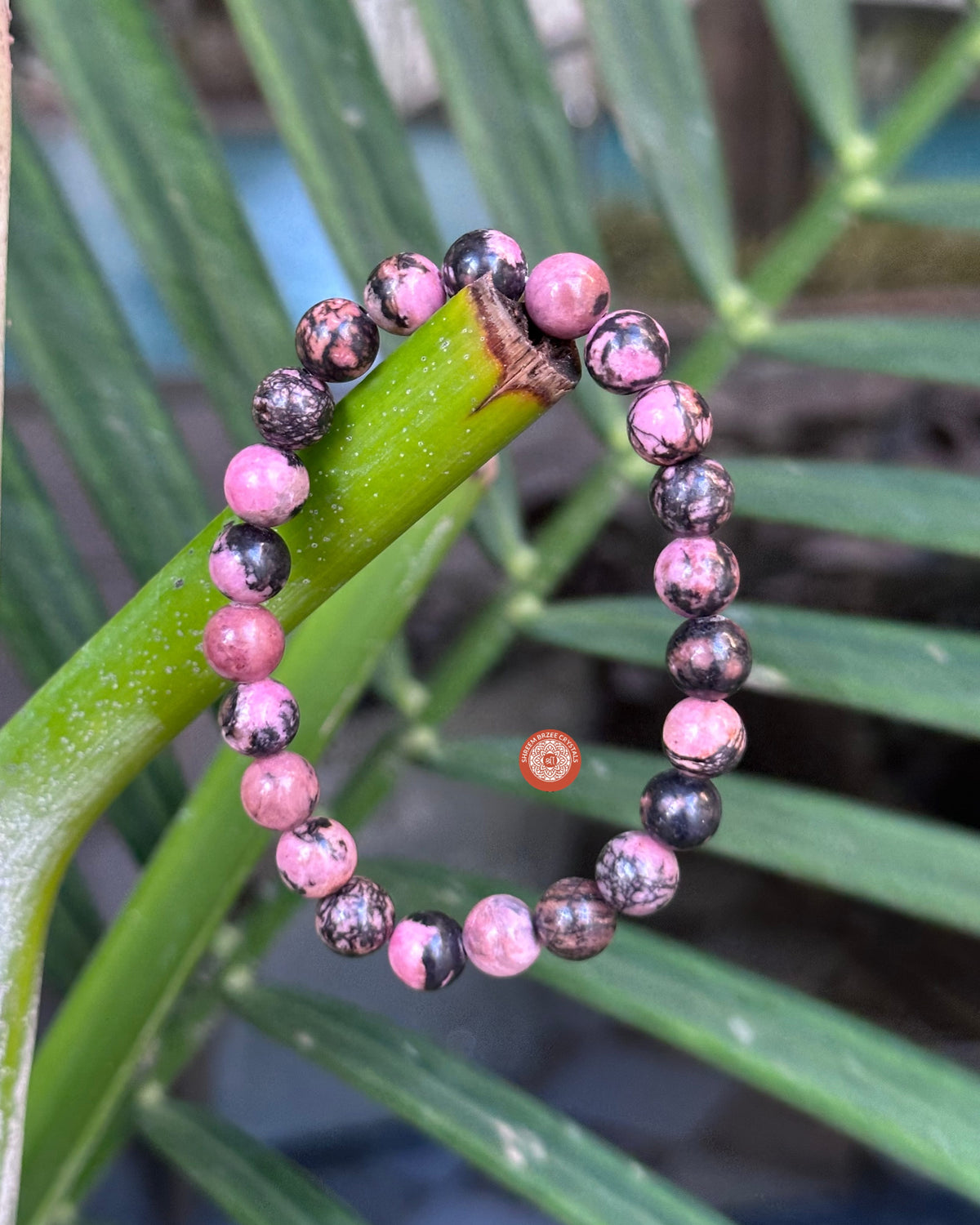 Rhodonite bracelet