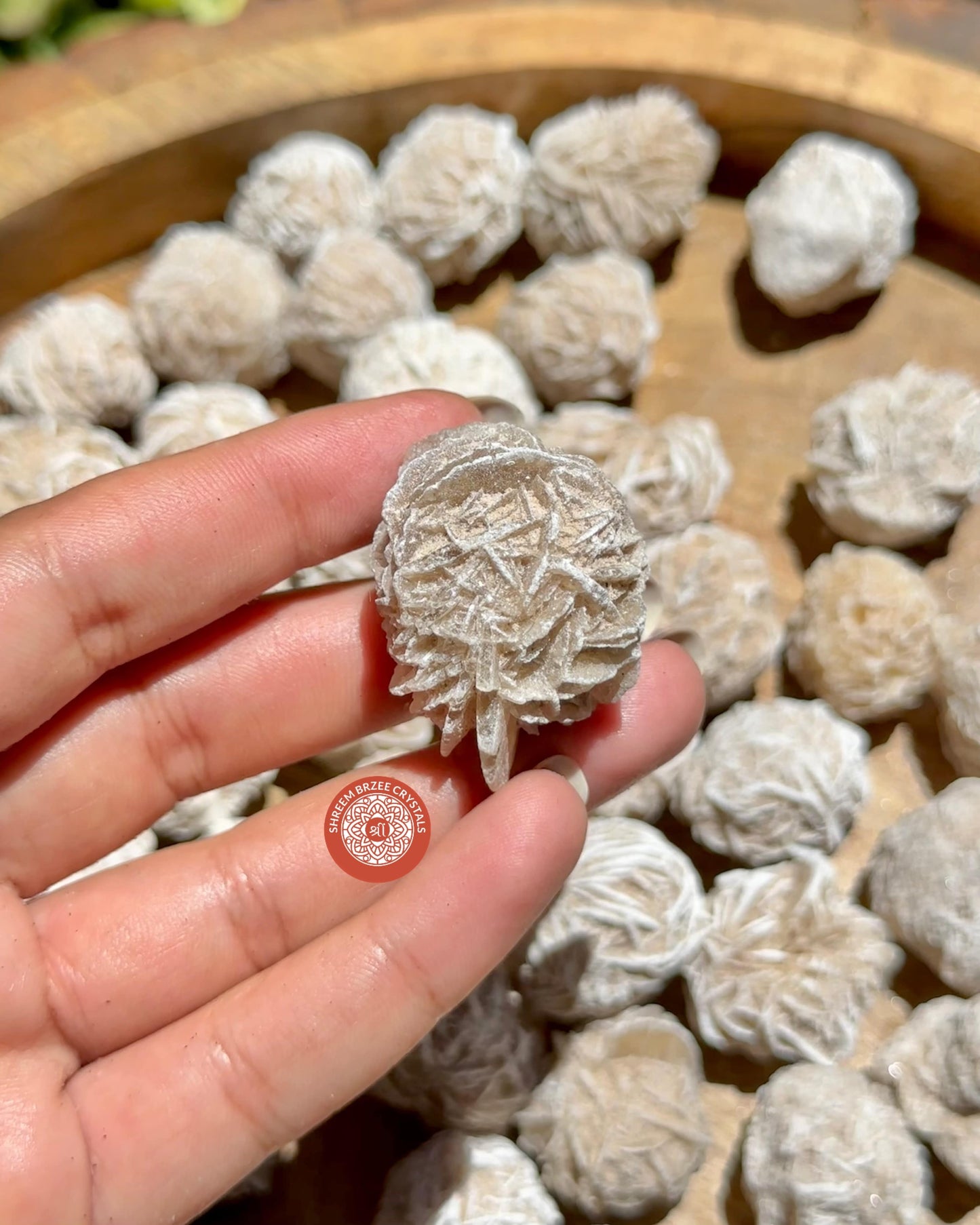Desert rose