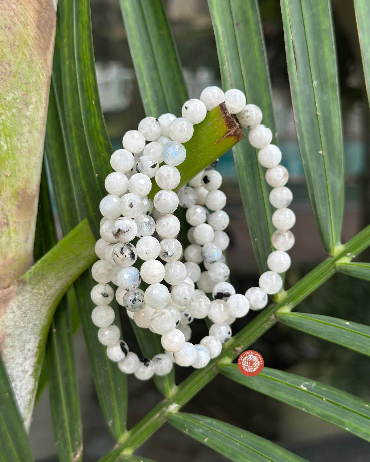 Moonstone diamond cut bracelet
