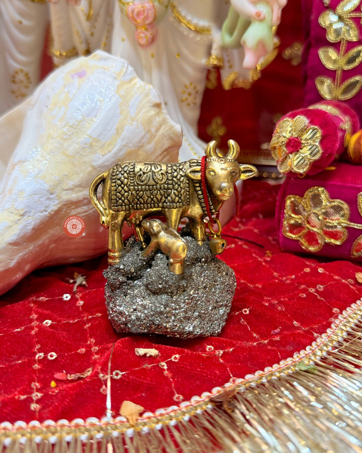 Kamdhenu on pyrite cluster