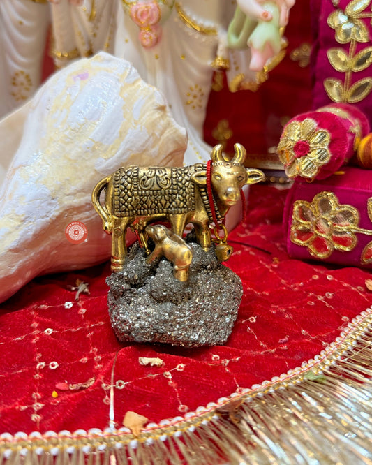 Kamdhenu on pyrite cluster