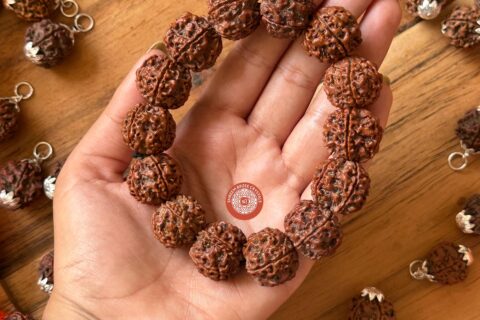 5-mukhi-rudraksh-bracelet