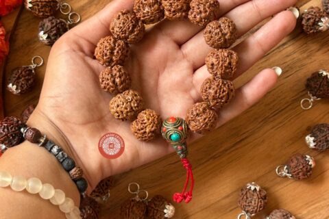 5-mukhi-rudraksh-bracelet