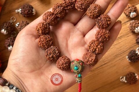 7-mukhi-rudraksh-bracelet