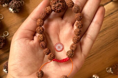 5-mukhi-rudraksh-bracelet