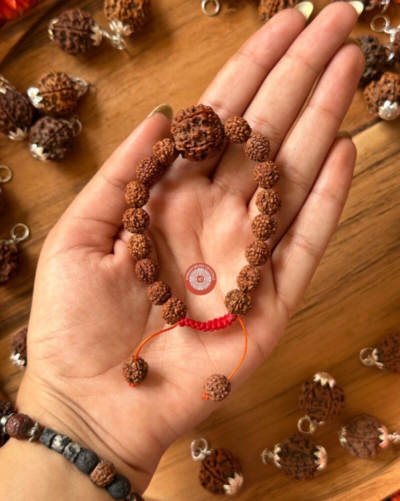 5-mukhi-rudraksh-bracelet