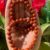 red-jasper-bracelet