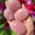 rose-quartz-palm-stone