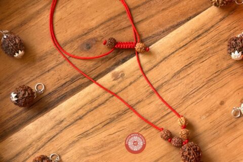 5-mukhi-rudraksh-necklace