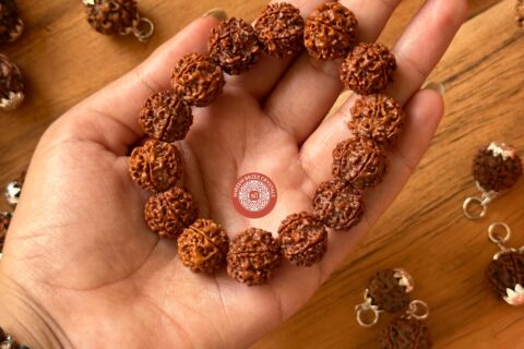 6-mukhi-rudraksh-bracelet