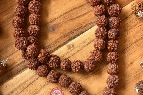 5-mukhi-rudraksh-mala