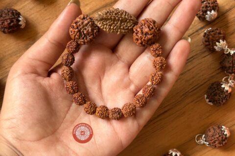 2mukhi-5mukhi-bracelet