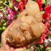 himalayan-quartz-cluster