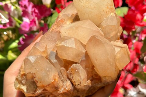 himalayan-quartz-cluster